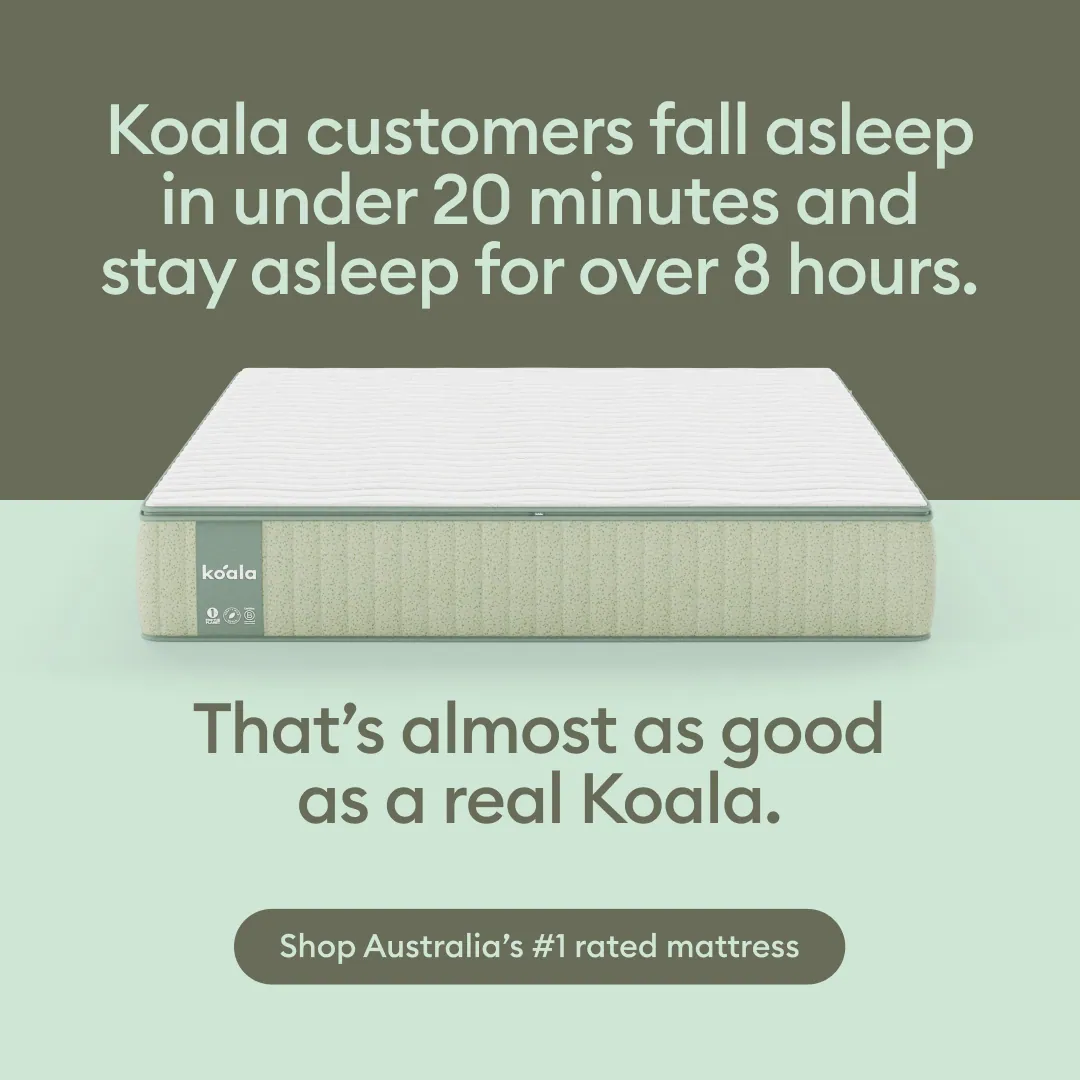 Koala